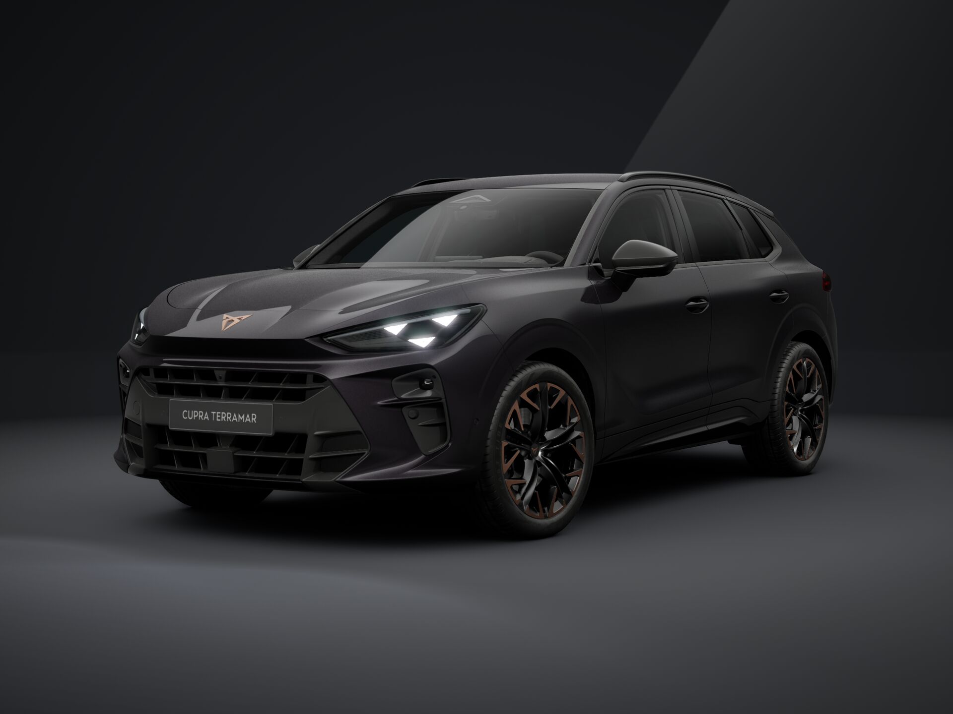 Cupra Terramar VZ 2.0 TSI 265 PS DSG 4Drive 2026