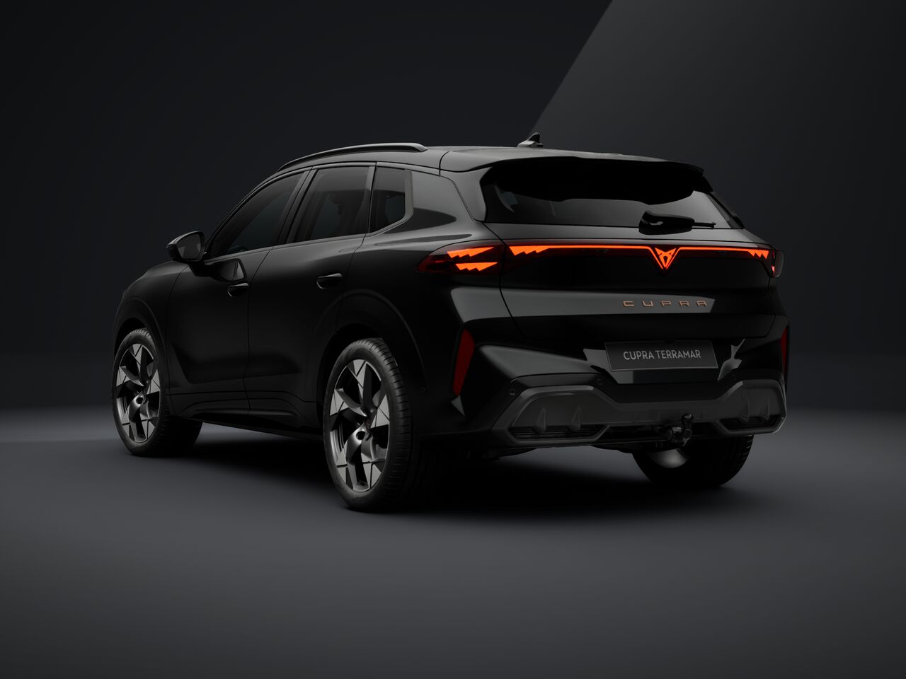 Bild eines Terramar 2.0 TSI 204 PS DSG 4Drive