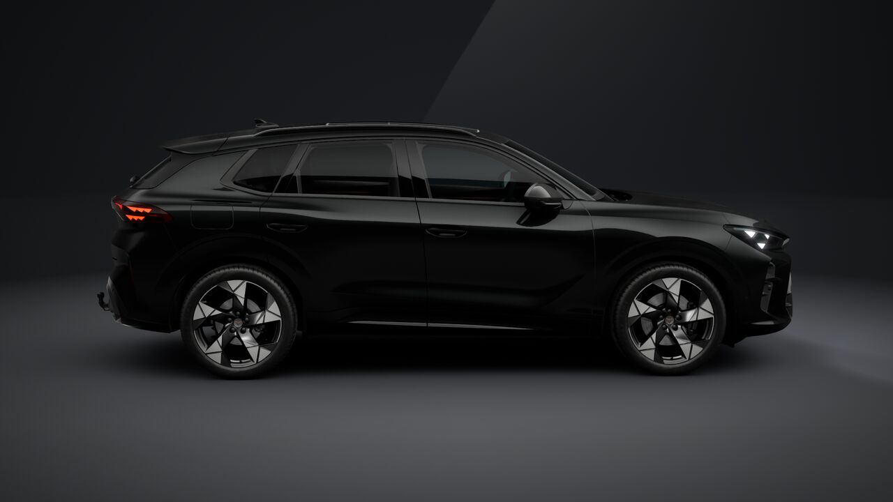Bild eines Terramar 2.0 TSI 204 PS DSG 4Drive