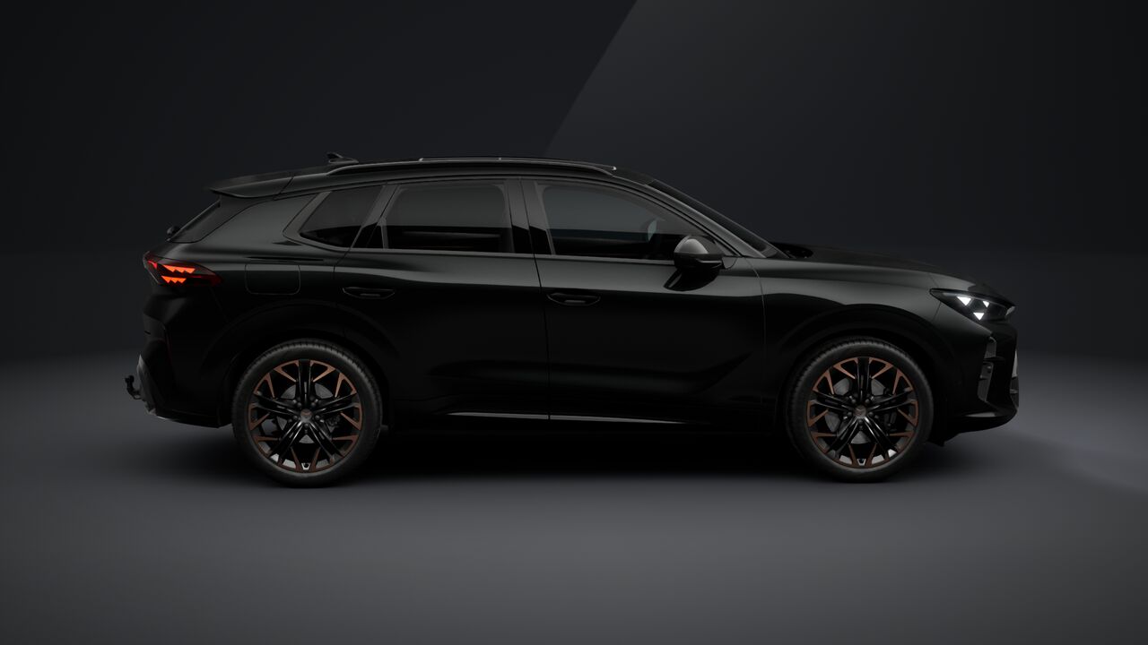 Bild eines Terramar 2.0 TSI 204 PS DSG 4Drive