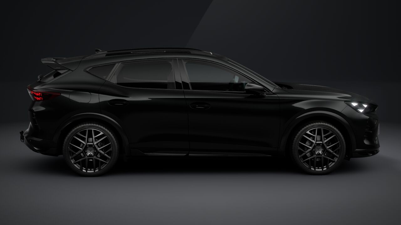Bild eines Formentor 2.0 TSI 204 PS DSG 4Drive
