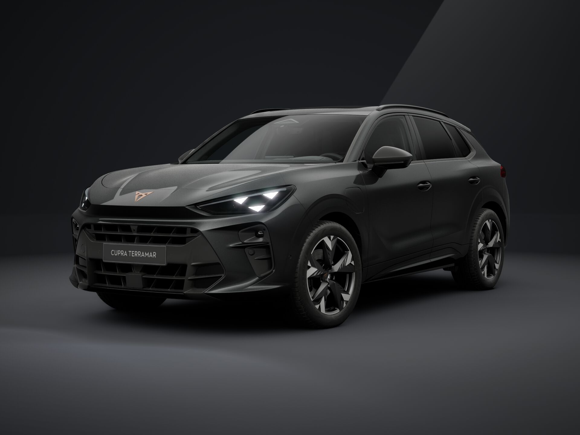 Bild eines CUPRA Terramar e-HYBRID 204 PS DSG