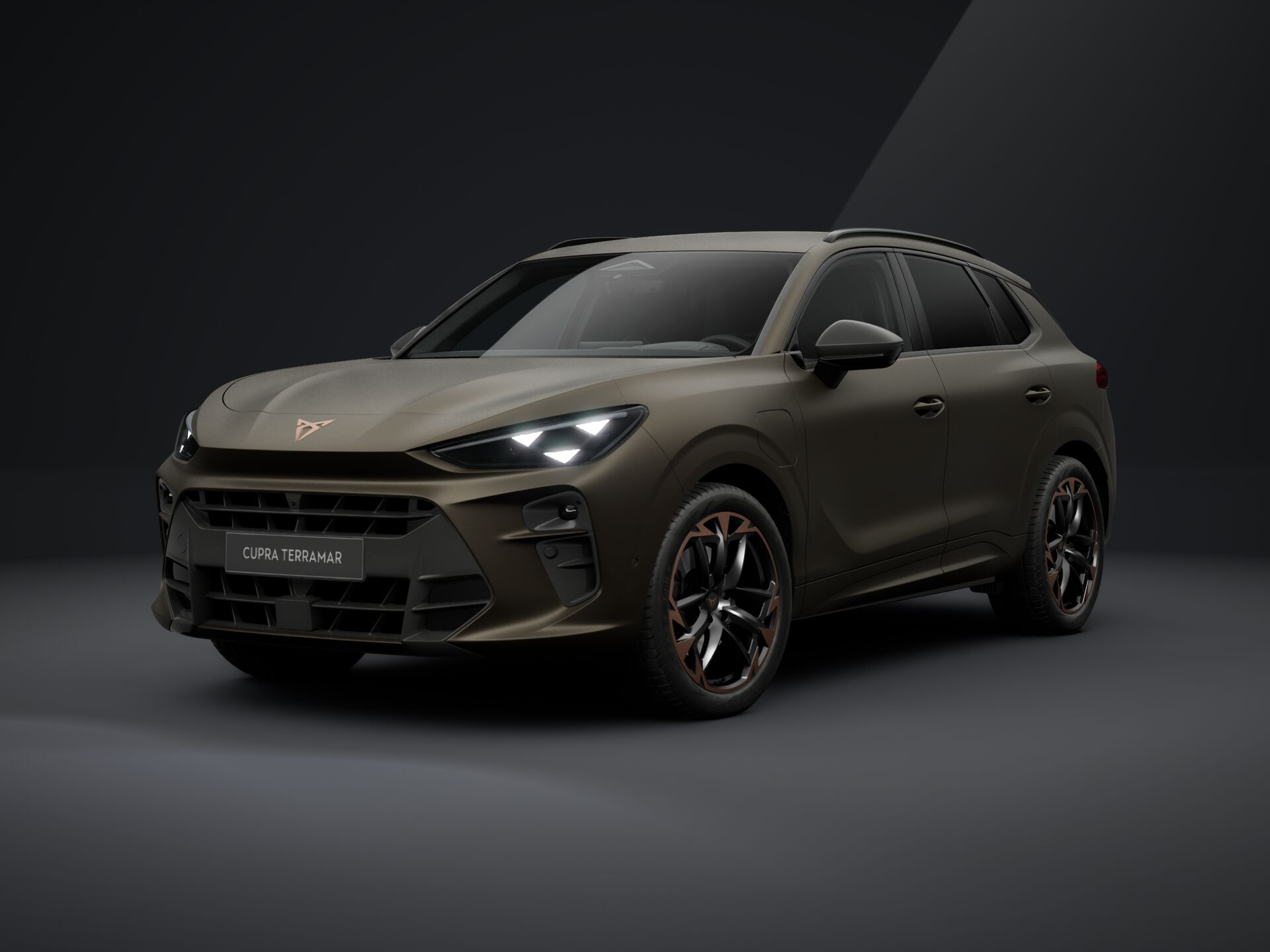 Bild eines Terramar e-HYBRID 204 PS DSG