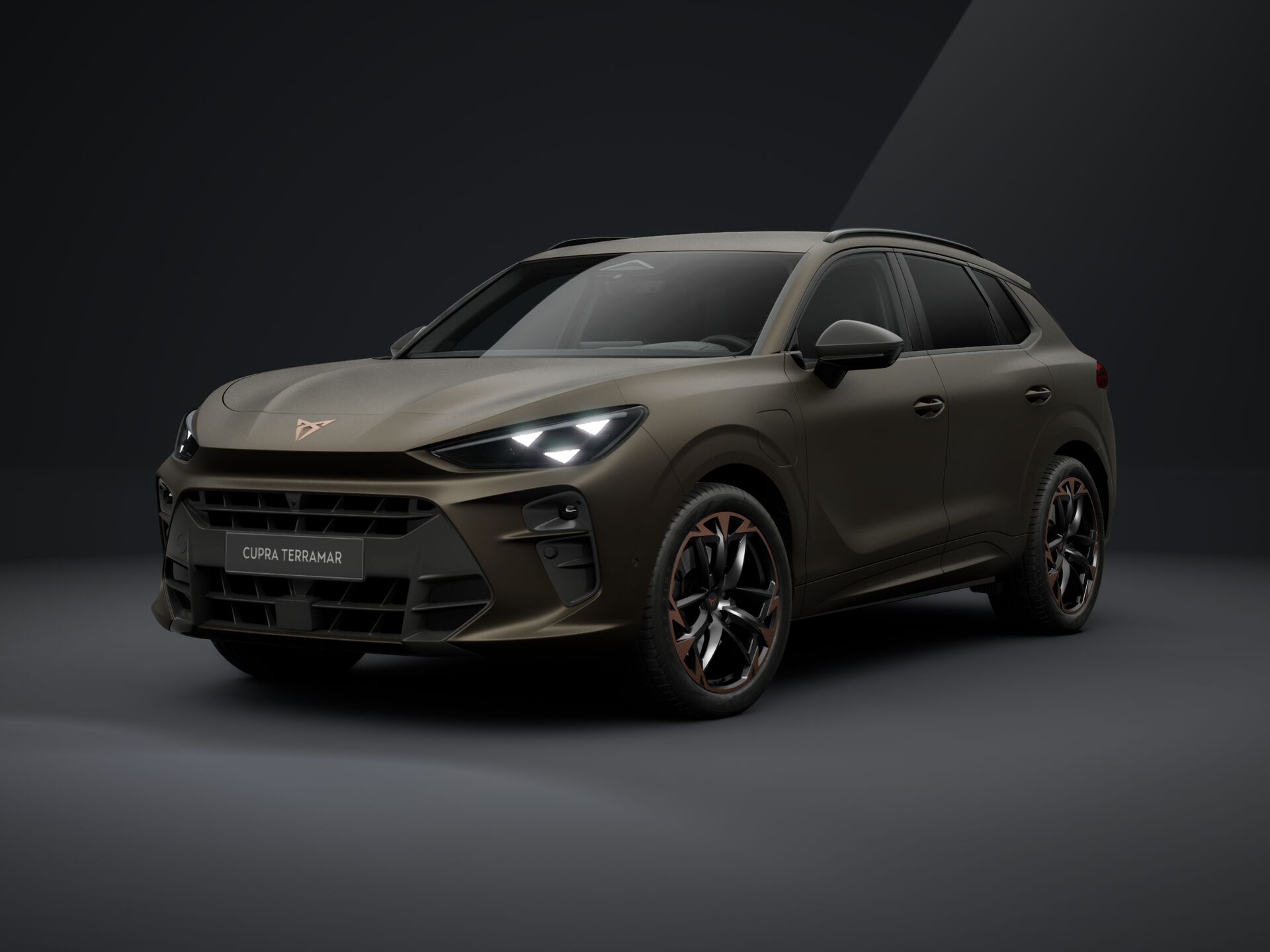 Bild eines CUPRA Terramar VZ e-HYBRID 272 PS DSG