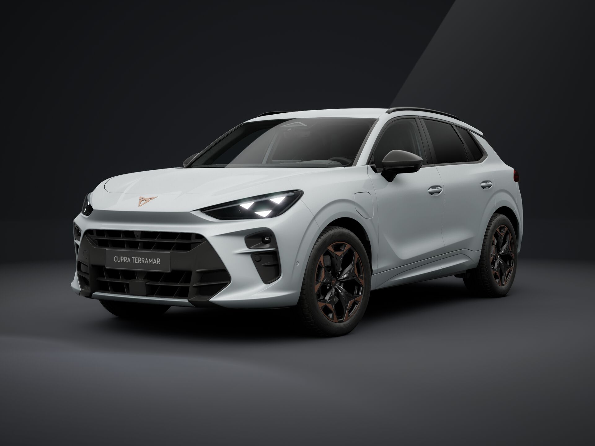 Bild eines Terramar e-HYBRID 204 PS DSG