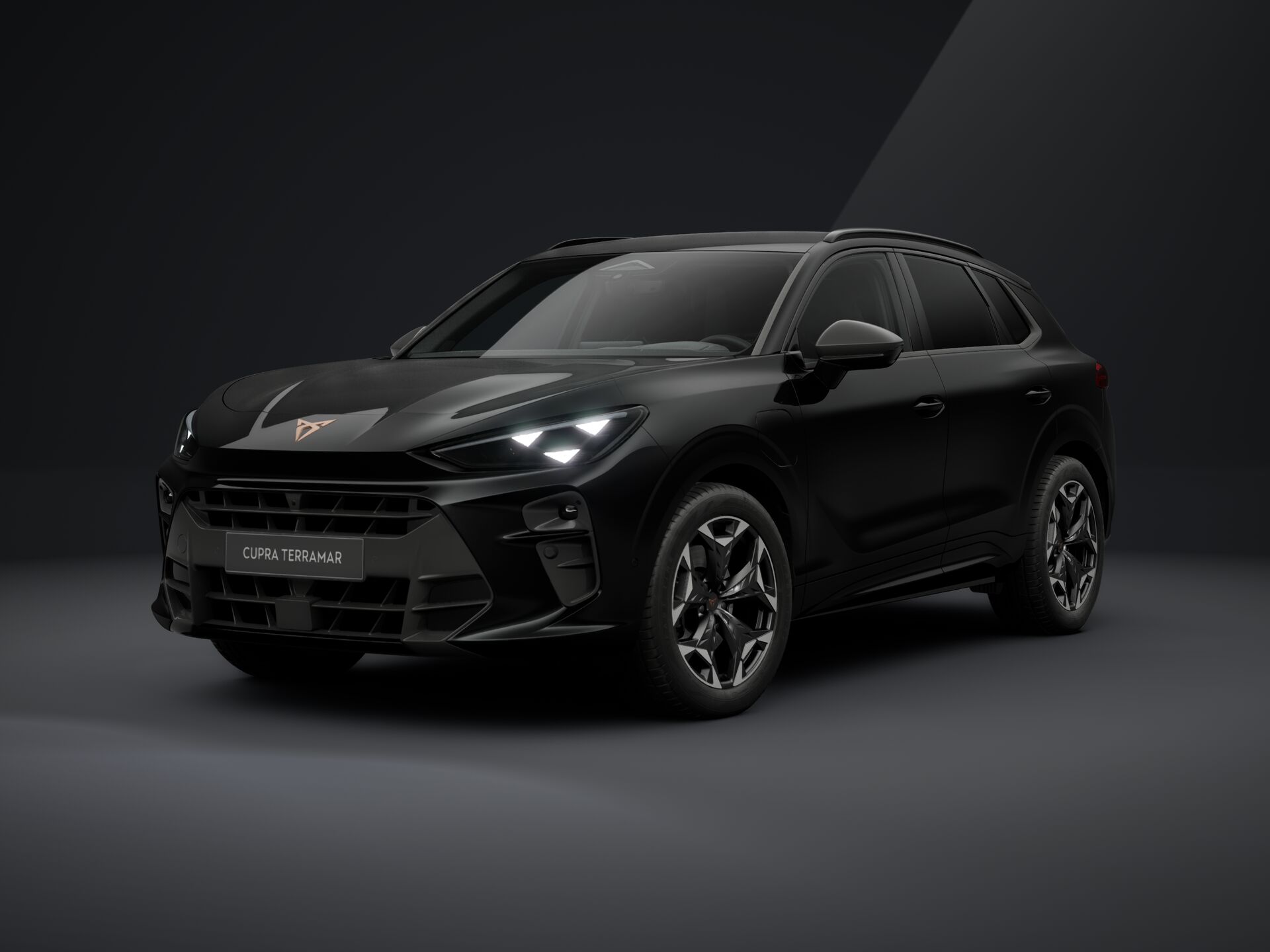 Bild eines CUPRA Terramar e-HYBRID 204 PS DSG