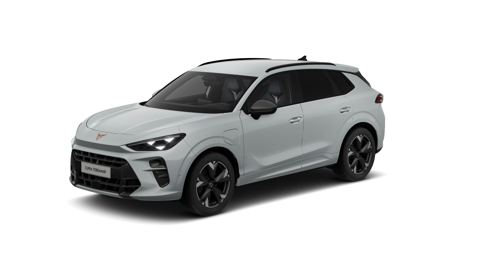 Bild eines Terramar VZ e-HYBRID 272 PS DSG