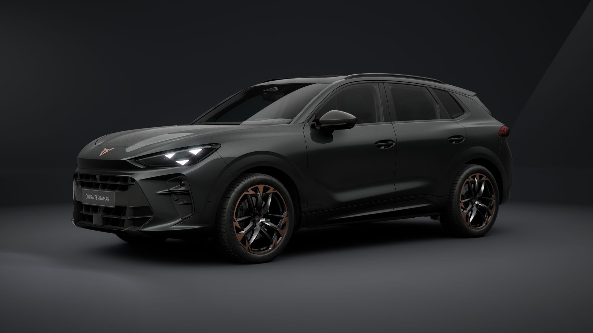 Bild eines Terramar 2.0 TSI 204 PS DSG 4Drive