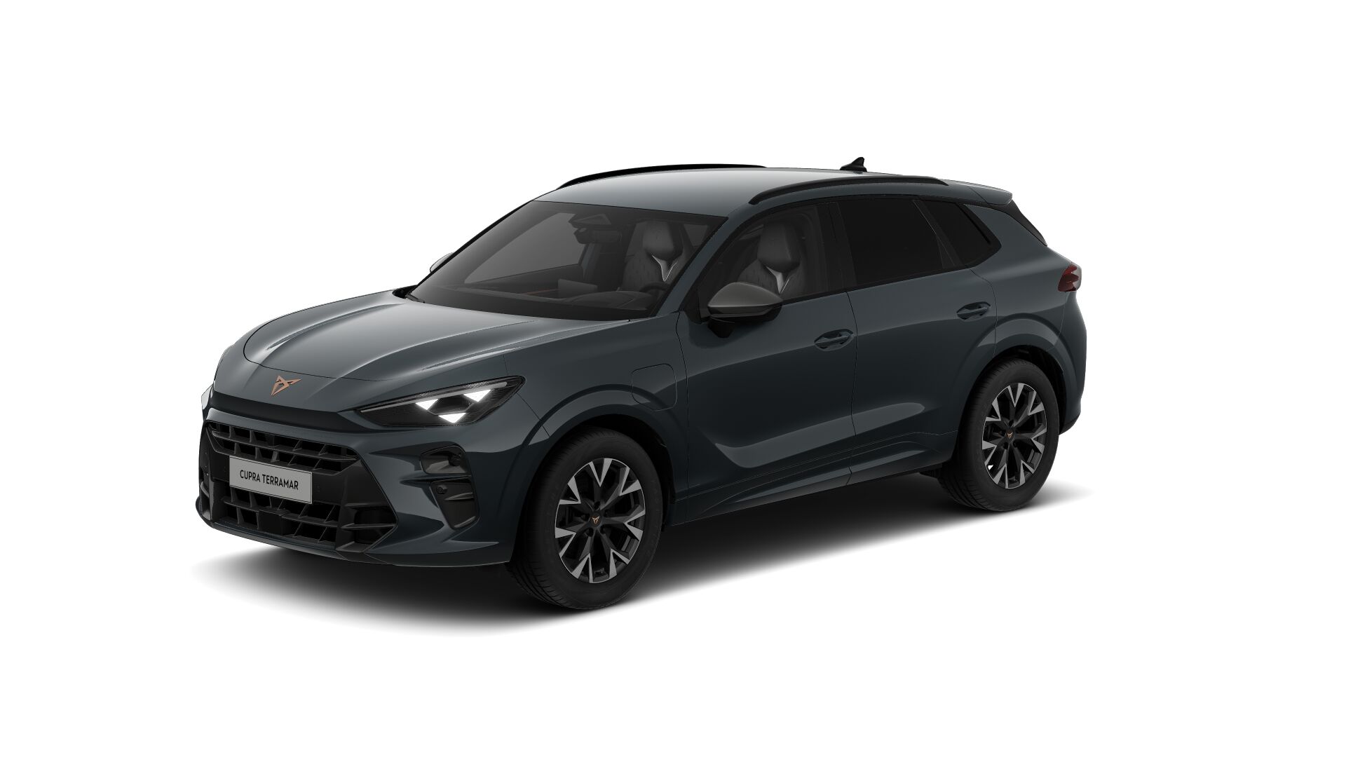 Bild eines Terramar e-HYBRID 204 PS DSG