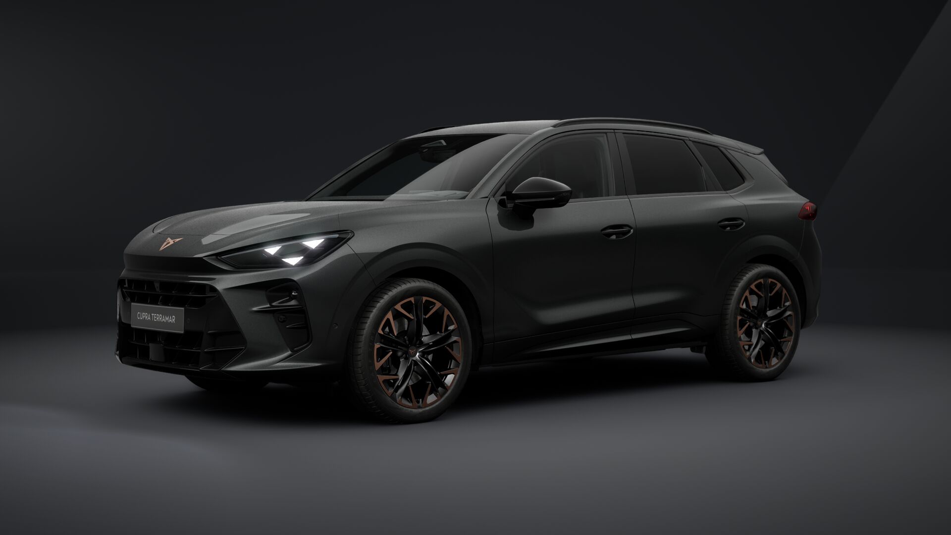 Bild eines Terramar 2.0 TSI 204 PS DSG 4Drive