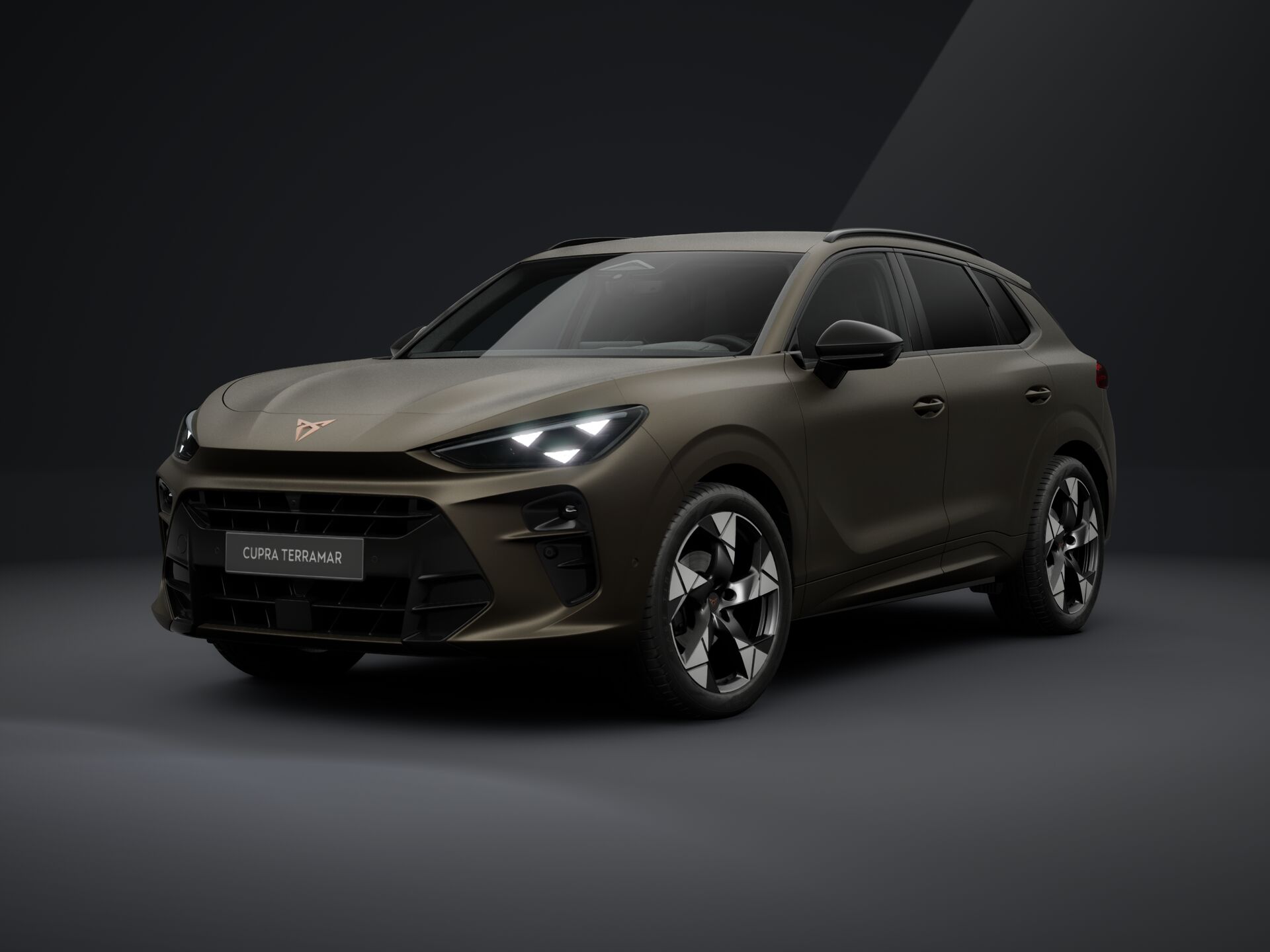 Bild eines CUPRA Terramar 1.5 e-TSI 150 PS DSG