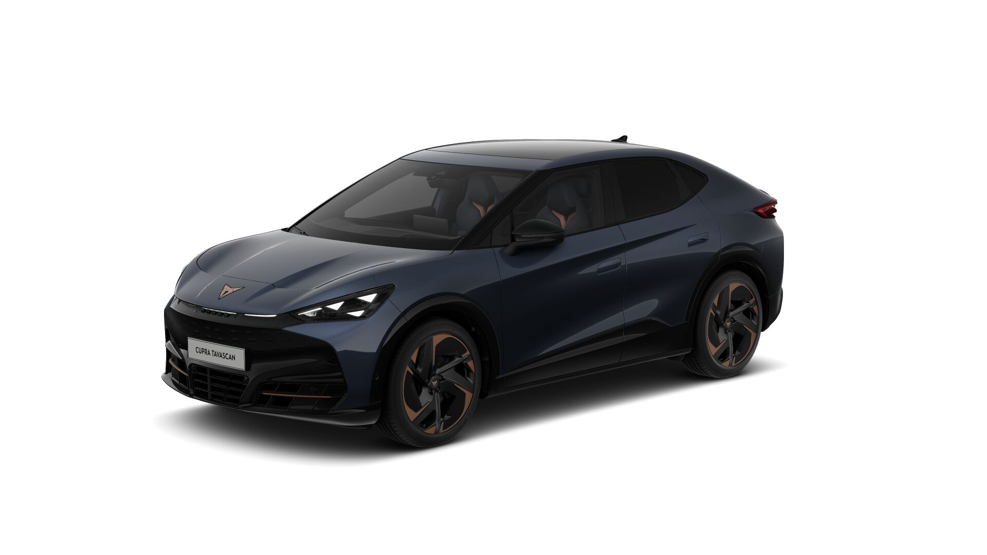Bild eines Tavascan VZ Adrenaline 4Drive250kW/340PS