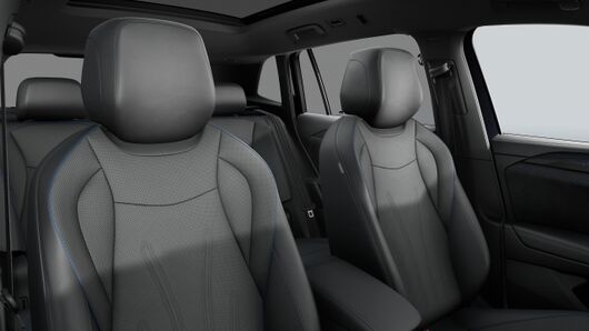 Bild eines Tiguan R-Line eTSI DSG