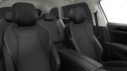 Bild eines Passat Variant Business eTSI DSG
