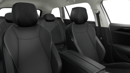 Bild eines Passat Variant Business TDI DSG