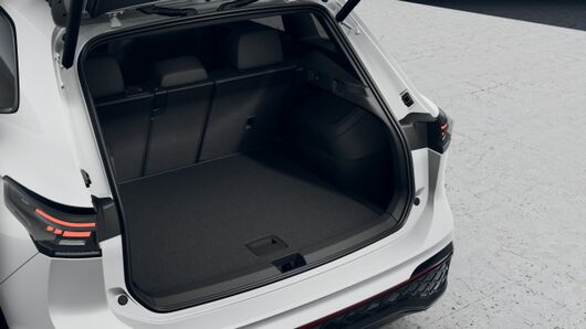 Bild eines Tiguan R-Line eTSI DSG