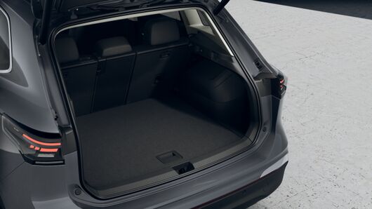 Bild eines Tiguan Elegance eTSI DSG