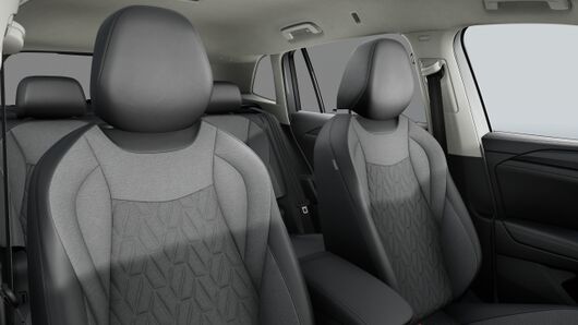 Bild eines Tiguan Friends eTSI DSG