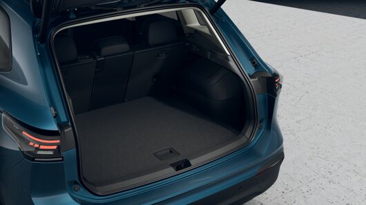 Bild eines Tiguan Friends eTSI DSG