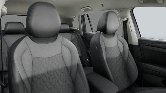 Bild eines Tiguan Friends eTSI DSG