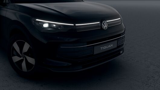 Bild eines Tiguan Friends eTSI DSG