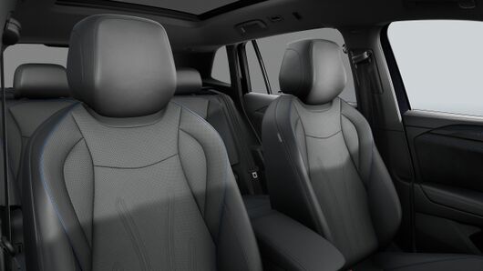 Bild eines Tiguan R-Line eTSI DSG