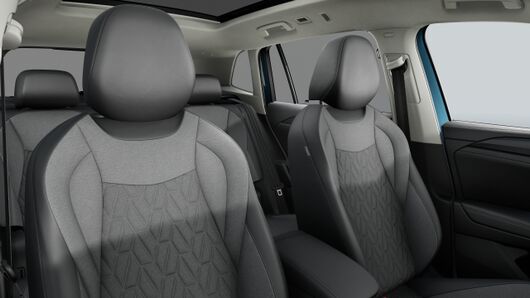 Bild eines Tiguan Friends eTSI DSG