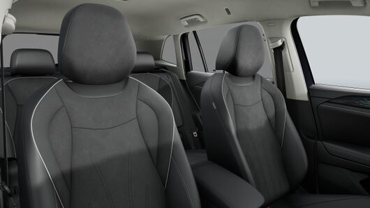 Bild eines Tiguan Elegance eTSI DSG