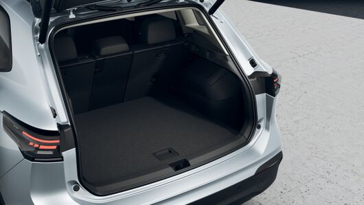 Bild eines Tiguan Friends eTSI DSG