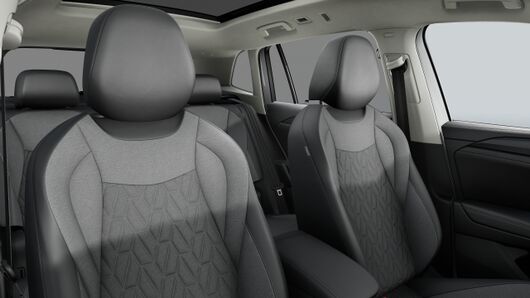 Bild eines Tiguan Friends eTSI DSG