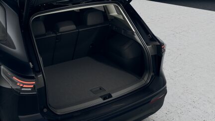 Bild eines Tiguan Friends eTSI DSG