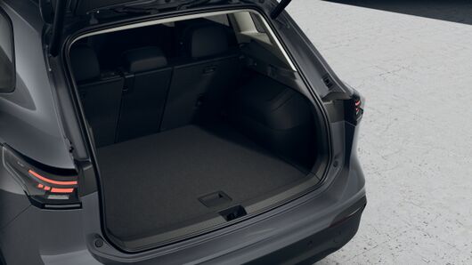 Bild eines Tiguan Friends eTSI DSG