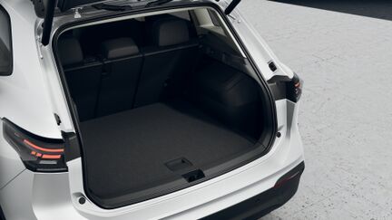 Bild eines Tiguan Friends eTSI DSG