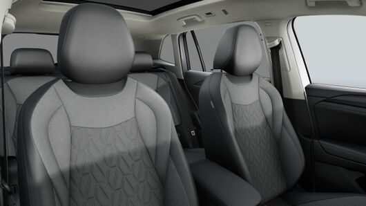 Bild eines Tiguan Friends eTSI DSG