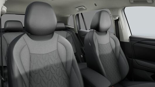 Bild eines Tiguan Friends TDI DSG