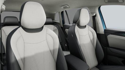 Bild eines Tiguan Elegance eTSI DSG