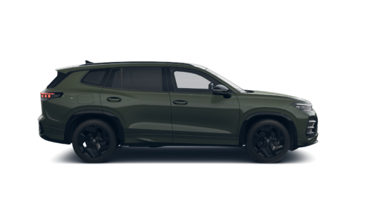Bild eines Tayron R-Line TDI 4MOTION DSG