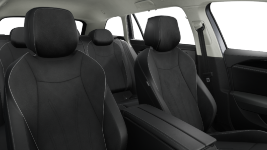 Bild eines Passat Variant Business TDI DSG