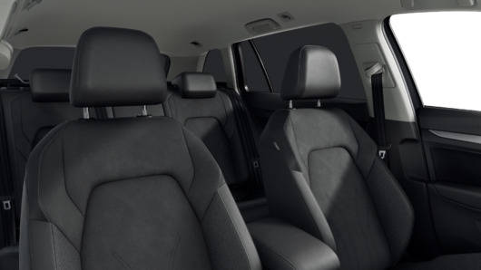 Bild eines Golf Variant Business TDI DSG