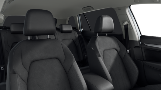Bild eines Golf Variant Business TSI
