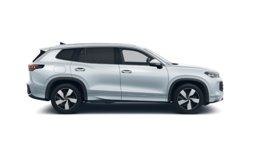 Bild eines Tayron Friends TDI DSG