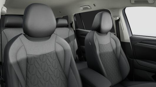 Bild eines Tayron Friends TDI DSG