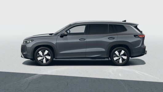 Bild eines Tayron Friends TDI DSG