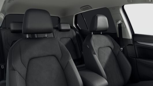 Bild eines Golf Rabbit mHEV TSI DSG