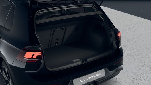 Bild eines Golf Rabbit mHEV TSI DSG