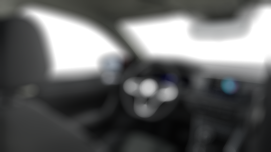 Bild eines Polo Friends TSI DSG