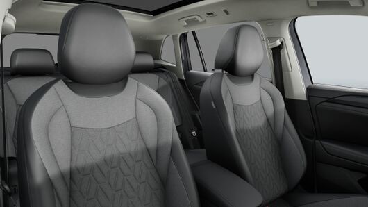 Bild eines Tiguan Friends TDI DSG