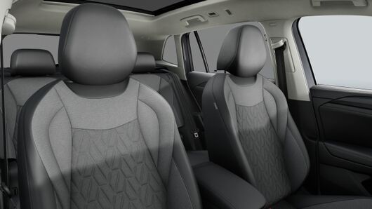 Bild eines Tiguan Friends TDI DSG