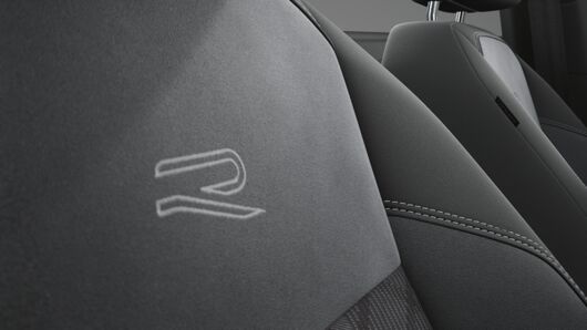 Bild eines Polo Sport TSI DSG