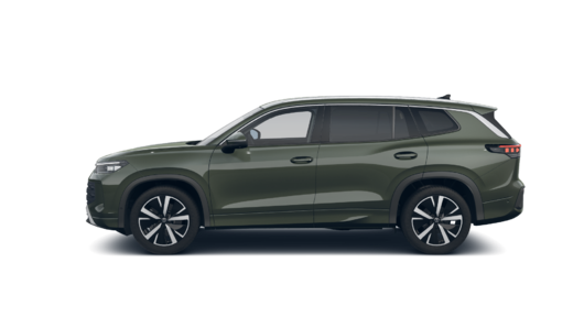 Bild eines Tayron Friends eTSI DSG